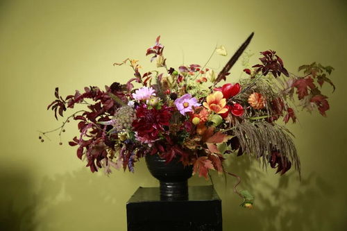 生活分享師必看 花藝設計零售品牌中的水果產品線梳理