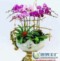 杭州花卉盆景植物租賃租擺服務(wù)，世界工廠網(wǎng)供應(yīng)信息