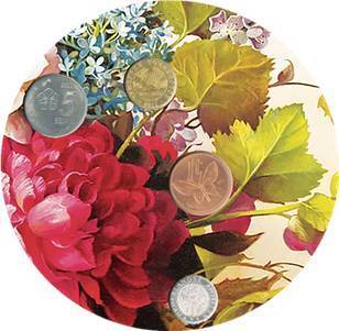 2018鑫產(chǎn)品 富貴花開(kāi)，財(cái)源滾滾的水果盛宴