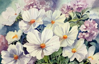 花卉——裝點(diǎn)生活與心靈的自然詩(shī)篇